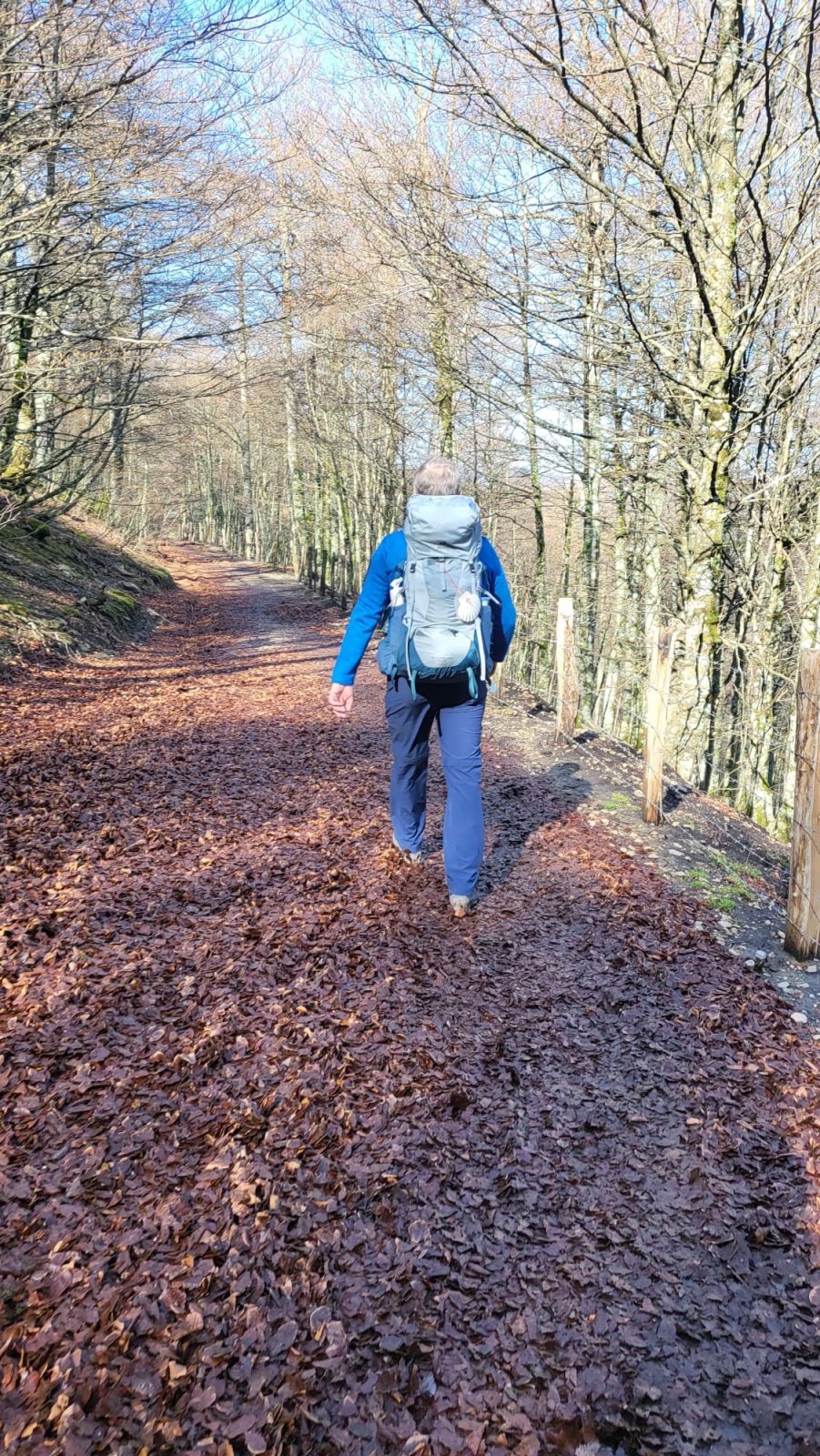 Etappe 2: Roncesvalles - die absolut richtige Entscheidung