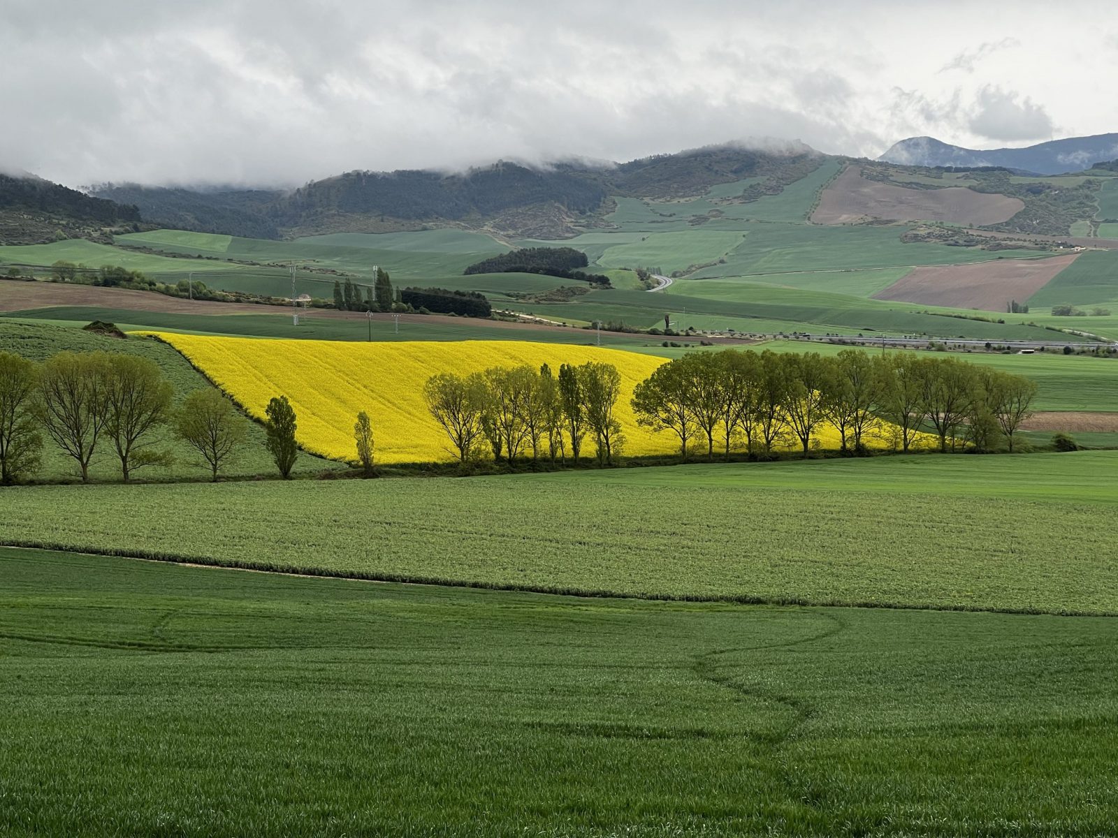 Etappe 5 bis 8: Von Pamplona nach Logroño - Pilgern und Bloggen ist ein Fulltimejob