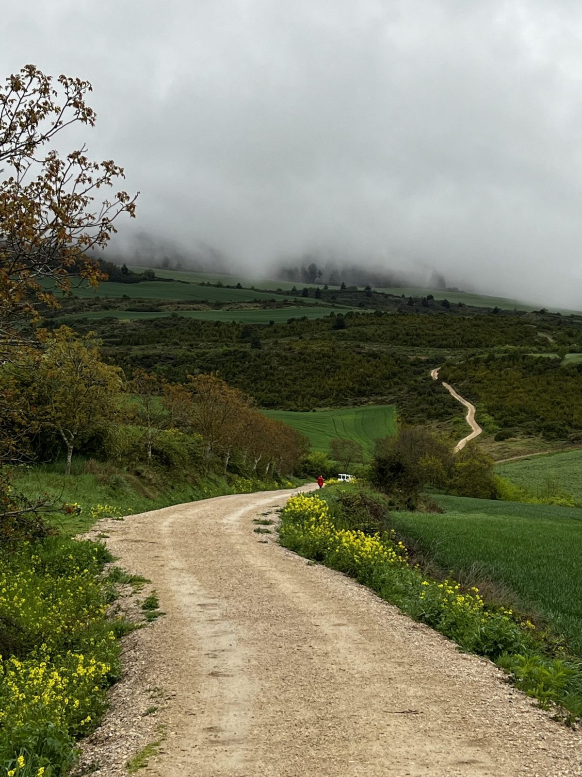 Etappe 5 bis 8: Von Pamplona nach Logroño - Pilgern und Bloggen ist ein Fulltimejob