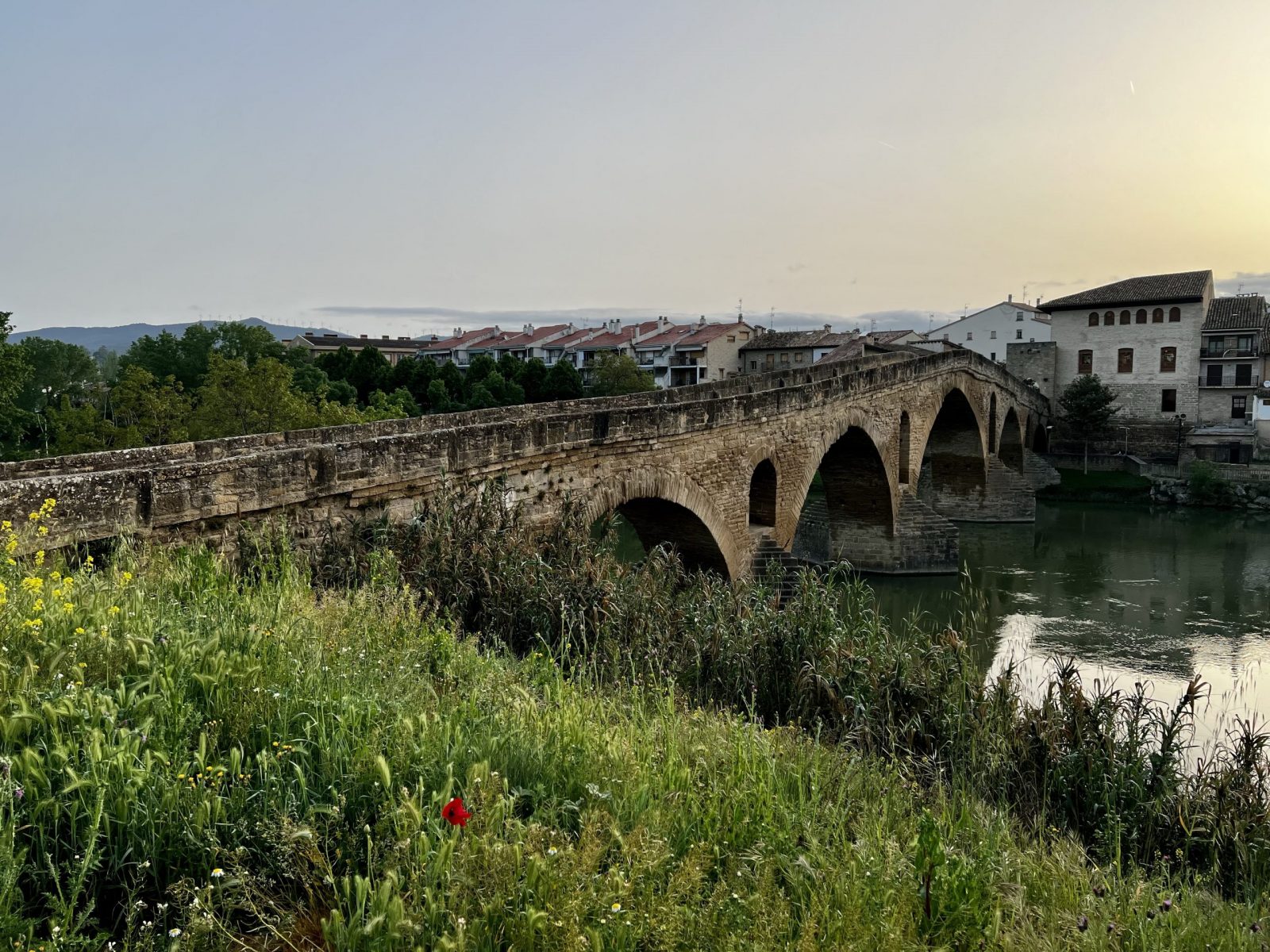 Etappe 5 bis 8: Von Pamplona nach Logroño - Pilgern und Bloggen ist ein Fulltimejob