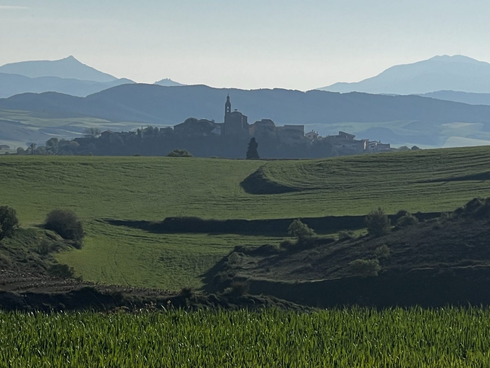 Etappe 5 bis 8: Von Pamplona nach Logroño – Pilgern und Bloggen ist ein Fulltimejob