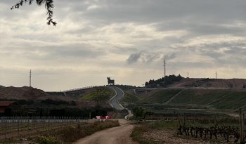Etappe 9 bis 11: Von Logroño nach Belorado - Blasen und ein Ruhetag