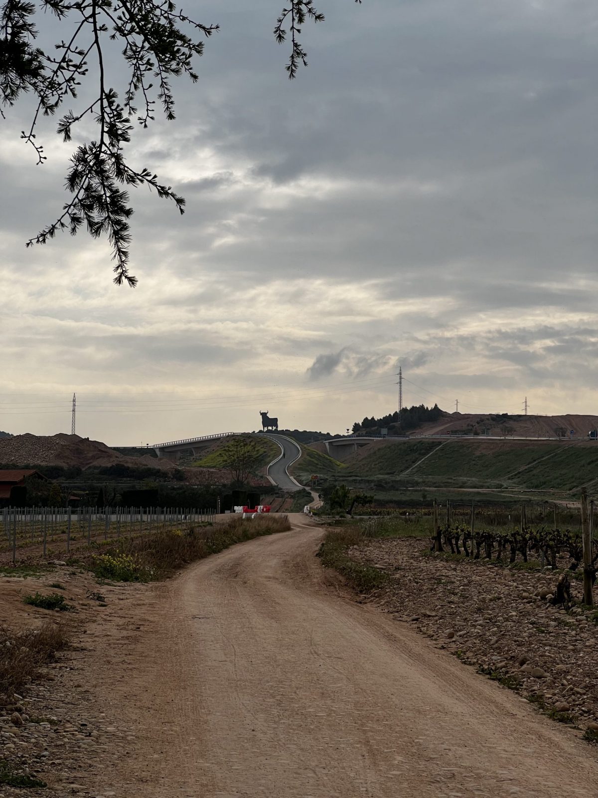 Etappe 9 bis 11: Von Logroño nach Belorado – Blasen und ein Ruhetag
