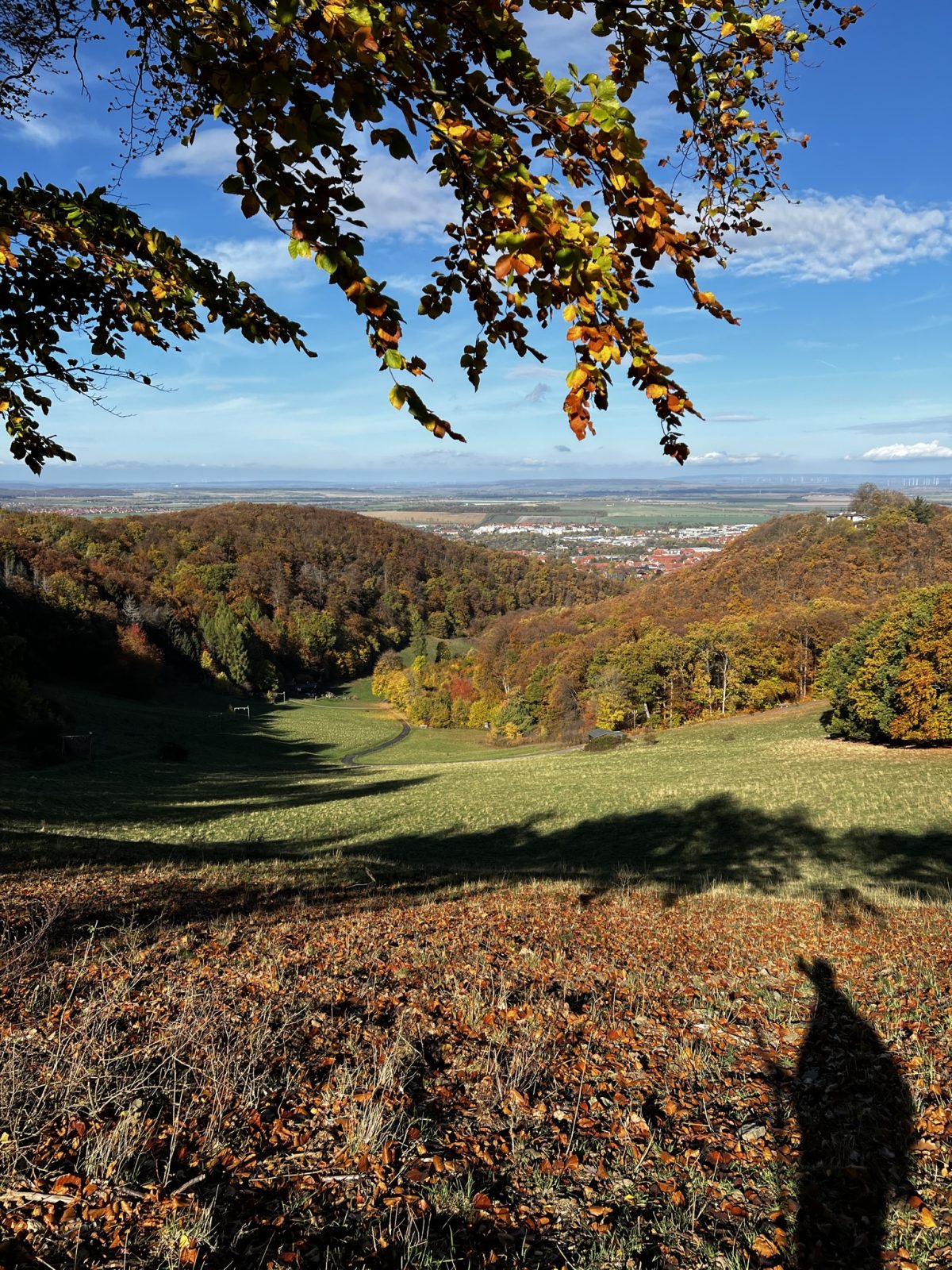 Nachklapp 2 und Schluss: Update und Wiedersehen im Harz